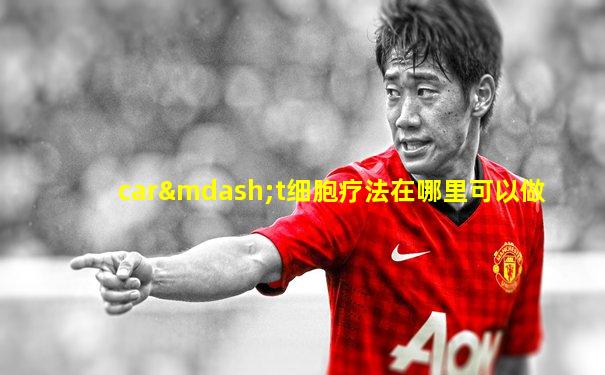 car—t细胞疗法在哪里可以做