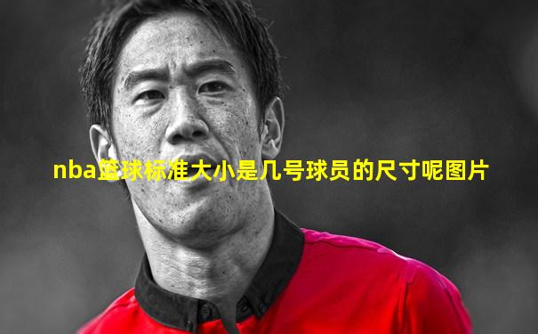 nba篮球标准大小是几号球员的尺寸呢图片