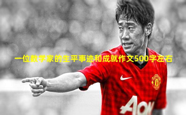 一位数学家的生平事迹和成就作文500字左右