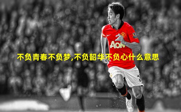 不负青春不负梦,不负韶华不负心什么意思