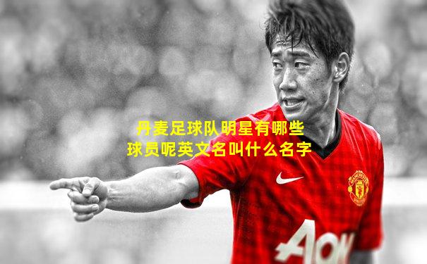 丹麦足球队明星有哪些球员呢英文名叫什么名字