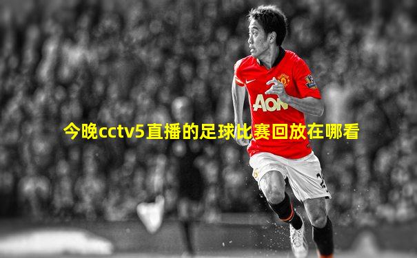 今晚cctv5直播的足球比赛回放在哪看