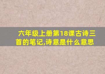 六年级上册第18课古诗三首的笔记,诗意是什么意思