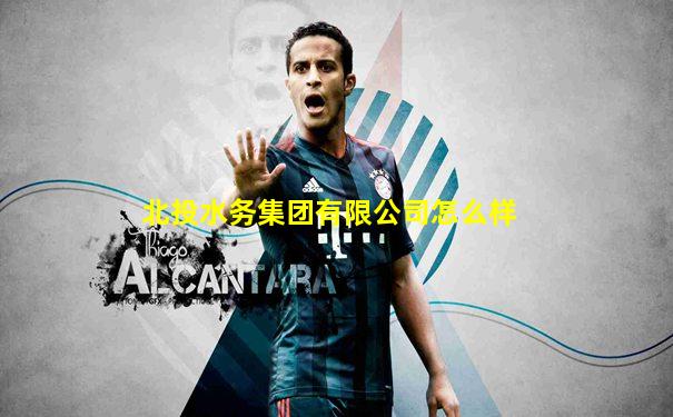 北投水务集团有限公司怎么样