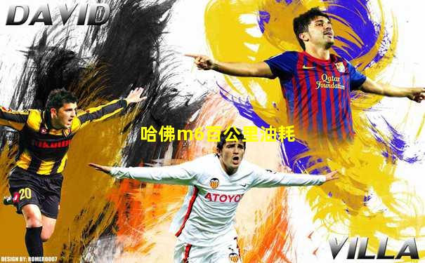 哈佛m6百公里油耗