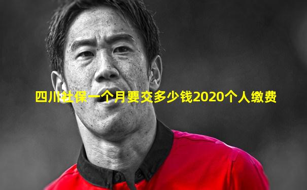 四川社保一个月要交多少钱2020个人缴费