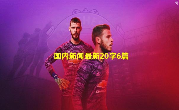 国内新闻最新20字6篇