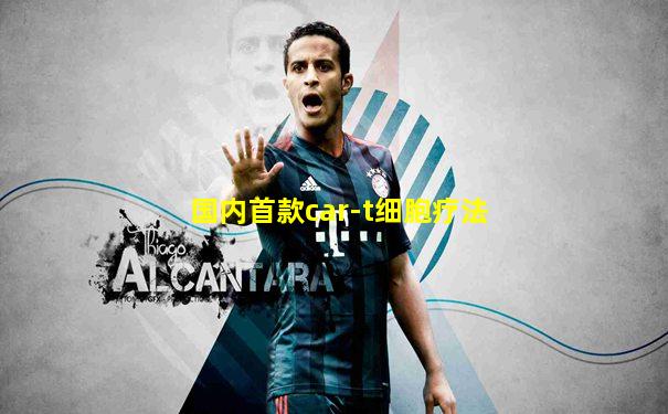 国内首款car-t细胞疗法