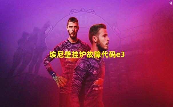 埃尼壁挂炉故障代码e3