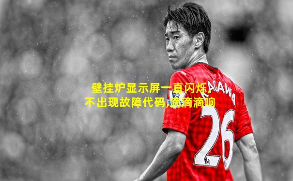 壁挂炉显示屏一直闪烁,不出现故障代码,滴滴滴响