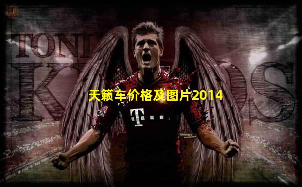 天籁车价格及图片2014