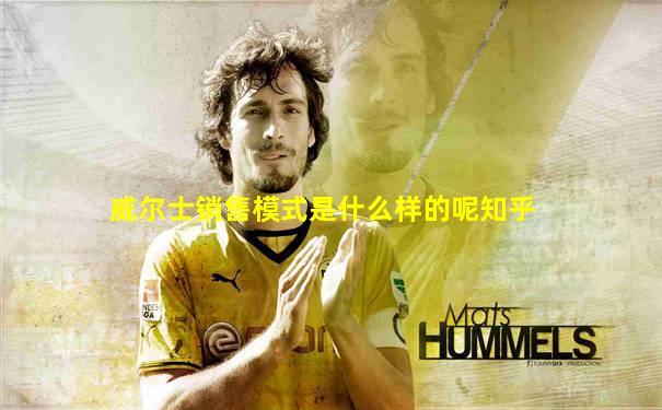 威尔士销售模式是什么样的呢知乎