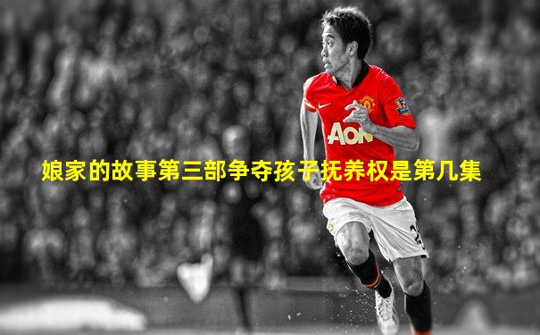 娘家的故事第三部争夺孩子抚养权是第几集