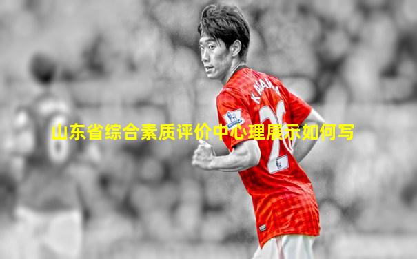 山东省综合素质评价中心理展示如何写