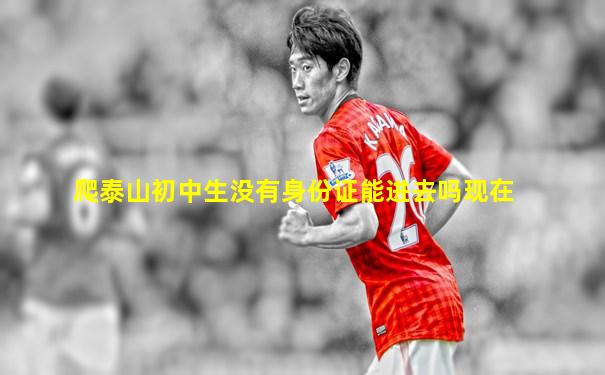 爬泰山初中生没有身份证能进去吗现在