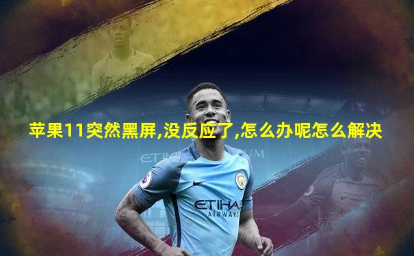 苹果11突然黑屏,没反应了,怎么办呢怎么解决
