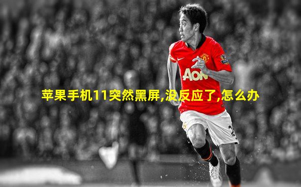 苹果手机11突然黑屏,没反应了,怎么办