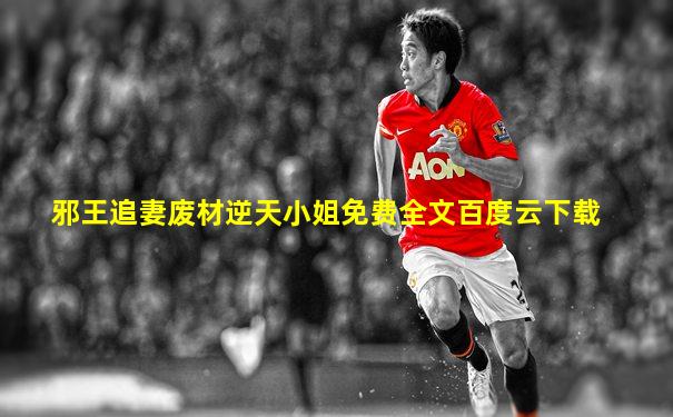 邪王追妻废材逆天小姐免费全文百度云下载