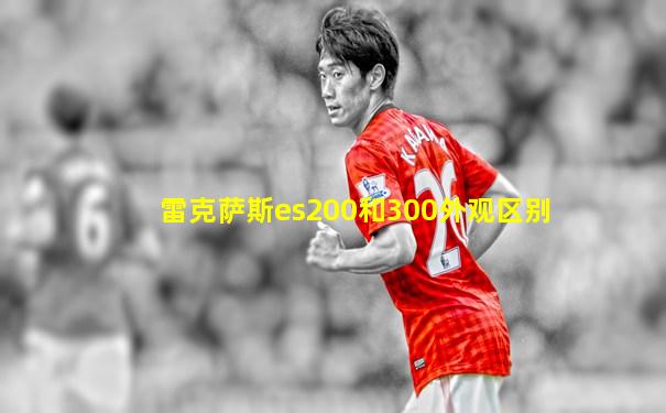 雷克萨斯es200和300外观区别