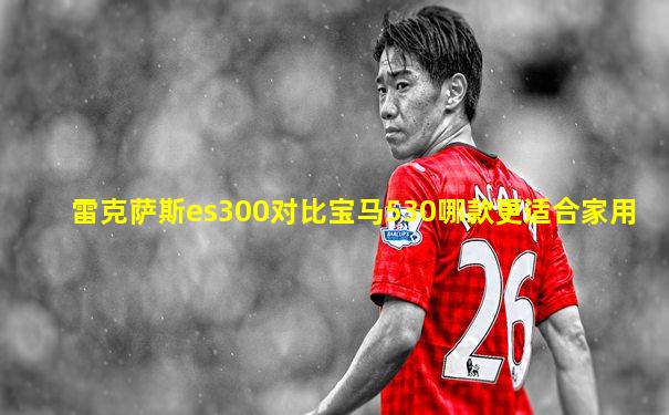 雷克萨斯es300对比宝马530哪款更适合家用